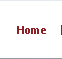 1st Wish Solutions - Website Design and SEO Company