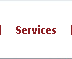 Web Design and SEO Services